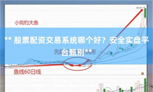 ** 股票配资交易系统哪个好？安全实盘平台甄别**